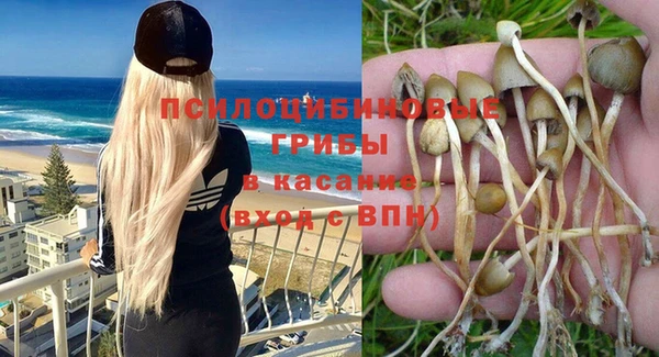 гидра Баксан