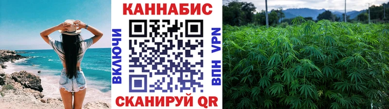 Канабис гибрид  закладки  Уварово 